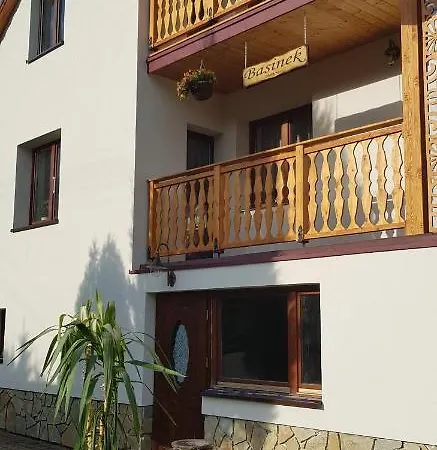 Basinek موشينا