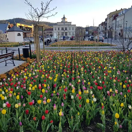 فندق مبيت وإفطار Basinek موشينا