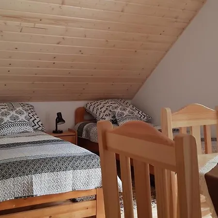 Basinek موشينا