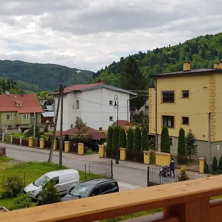 Basinek موشينا